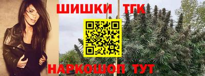 сатива Коммунар