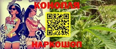 сатива Коммунар