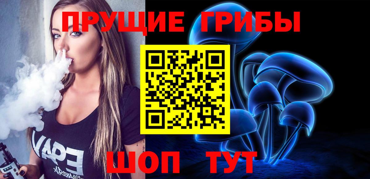 Галлюциногенные грибы мицелий  купить  цена  Краснознаменск  Вход с VPN 